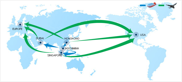 Worldwide Logistics Group Vietnam Office S Special Service From Vietnam To Europe Or Usa